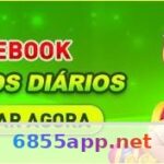 6855 - Email de Suporte: Guia Completo para Usuários Article Image 1